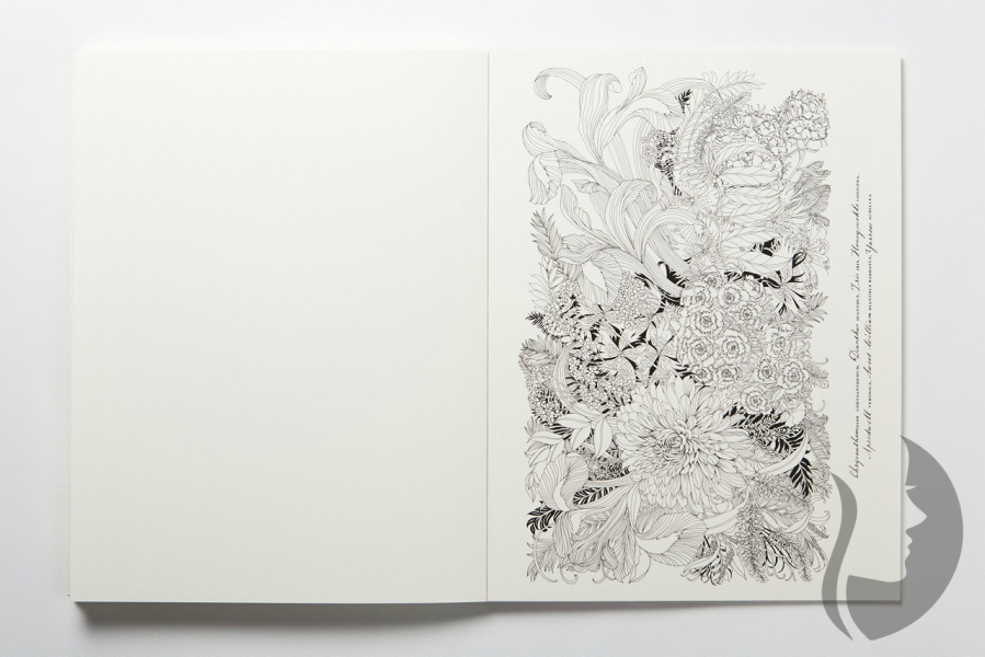 Floribunda A flower colouring book Leila Duly