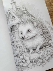 101 Baby Animal Home Coloring Book - Max Brenner 