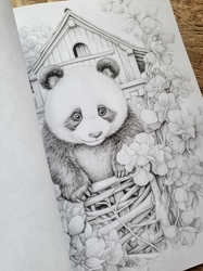 101 Baby Animal Home Coloring Book - Max Brenner 