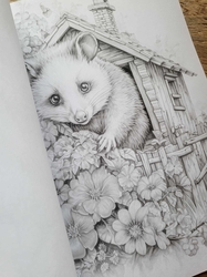 101 Baby Animal Home Coloring Book - Max Brenner 