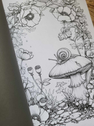 BLUMEN WALD Coloring book  - Lia Liebherz 