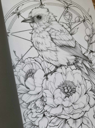 Blumen Malbuch für Erwachsene zur Entspannung Coloring book  - Lia Liebherz 