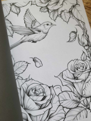 BLUMEN WALD Coloring book  - Lia Liebherz 