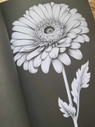 Blumen der Nacht  Coloring book  - Lia Liebherz 