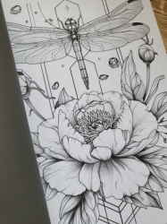 Blumen Malbuch für Erwachsene zur Entspannung Coloring book  - Lia Liebherz 