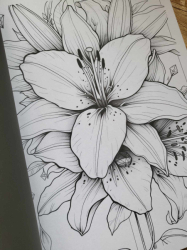 Blumen Malbuch für Erwachsene zur Entspannung Coloring book  - Lia Liebherz 