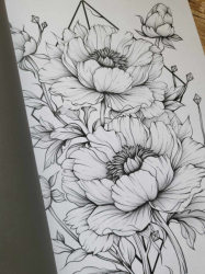 Blumen Malbuch für Erwachsene zur Entspannung Coloring book  - Lia Liebherz 