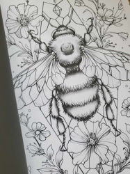 Blumen Malbuch für Erwachsene zur Entspannung Coloring book  - Lia Liebherz 