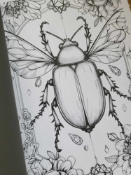 Blumen Malbuch für Erwachsene zur Entspannung Coloring book  - Lia Liebherz 