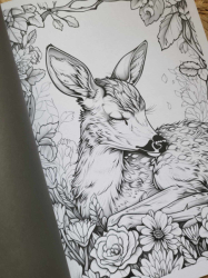 BLUMEN WALD Coloring book  - Lia Liebherz 