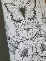 Blumen Malbuch für Erwachsene zur Entspannung Coloring book  - Lia Liebherz 