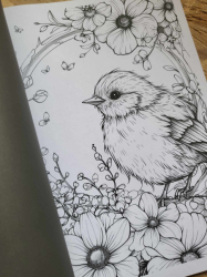 BLUMEN WALD Coloring book  - Lia Liebherz 