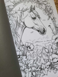 BLUMEN WALD Coloring book  - Lia Liebherz 