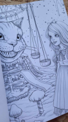 Alice in Winterland Coloring Book for Adults - Max Brenner