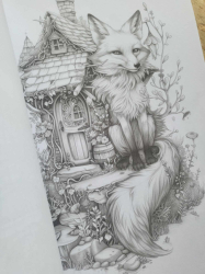 Animal Homes - Coloring Book for Adults - Mia Quinn