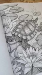 Blooming Reptiles Coloring Book for Adults - Mia Quinn