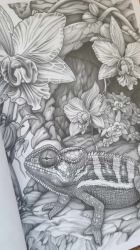 Blooming Reptiles Coloring Book for Adults - Mia Quinn