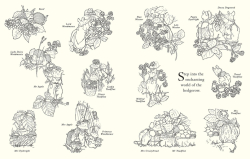 Brambly Hedge: Festive Coloring Book