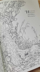 Brambly Hedge: Festive Coloring Book