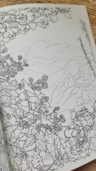 Brambly Hedge: Festive Coloring Book