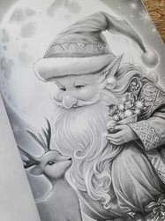 Christmas Gnomes Adult Coloring Book- Max Brenner 