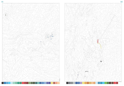 Coloriages mystères Disney - Sous l'océan- Colouring by numbers 