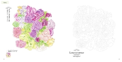 Coloring Flower Language & Flower Picture Book Bouquet and WreathJAPONSKO 