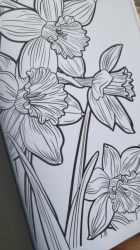 Entspannung mit Blumen Coloring book  - Lia Liebherz