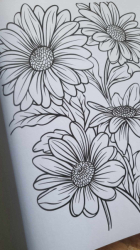 Entspannung mit Blumen Coloring book  - Lia Liebherz