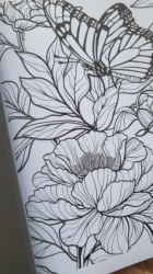 Entspannung mit Blumen Coloring book  - Lia Liebherz