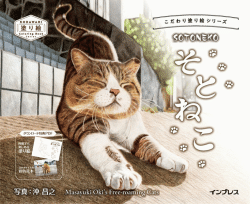 Masayuki Okis the Free-roaming Cats - JAPONSKO  