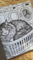 Schelmische Katzen Malbuch für Erwachsene